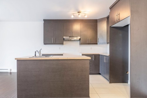 Kitchen - 302-5565 Av. Albanie, Brossard, QC - Indoor Photo Showing Kitchen