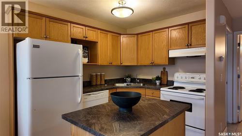 4026 Buckingham Drive E, Regina, SK - Indoor Photo Showing Kitchen With Double Sink