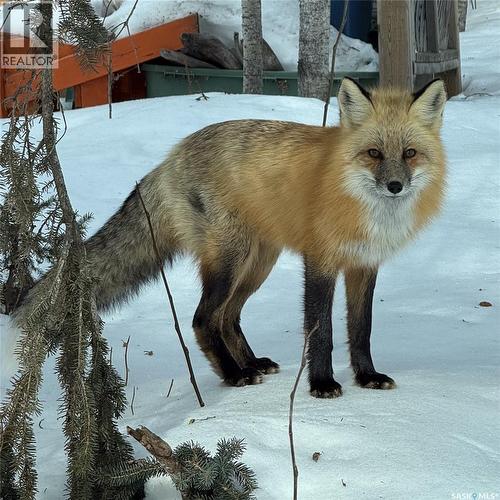 1512 Birch Drive, Turtle Lake, SK - Outdoor