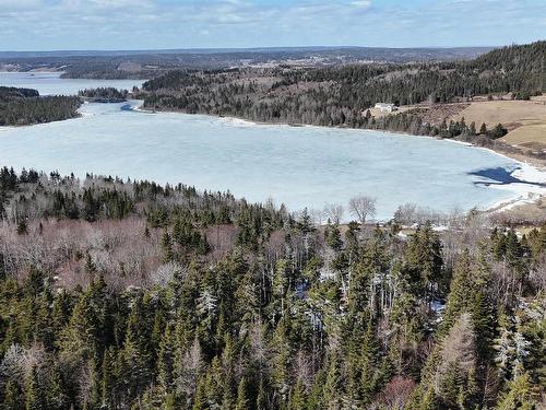 Highway 4, Lynche River, NS 