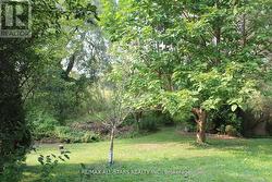 40-A RIVERGLEN DRIVE  Georgina, ON L4P 2R1