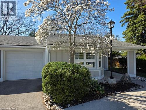 16 Sister Varga Terrace, Hamilton, ON - Outdoor