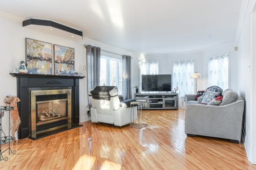 Salon - 411A Ch. Des Patriotes, Saint-Mathias-Sur-Richelieu, QC - Indoor Photo Showing Living Room With Fireplace