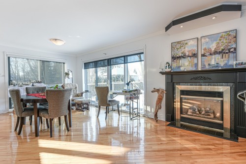 Salon - 411A Ch. Des Patriotes, Saint-Mathias-Sur-Richelieu, QC - Indoor Photo Showing Other Room With Fireplace