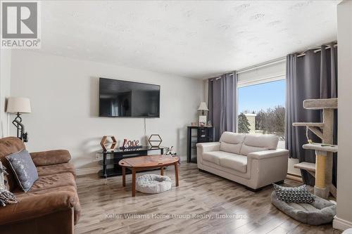 118 Chandler Drive, Kitchener, ON - Indoor Photo Showing Living Room