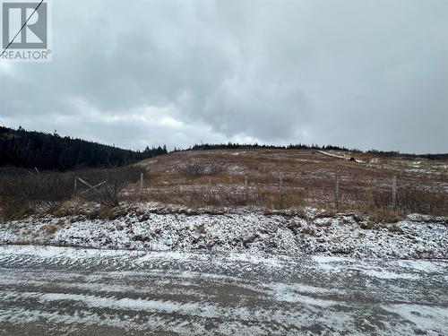 2B Top Road, Branch, NL 