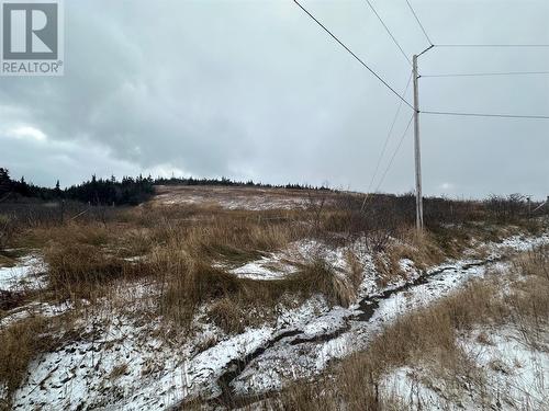 2B Top Road, Branch, NL 