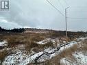 2B Top Road, Branch, NL 