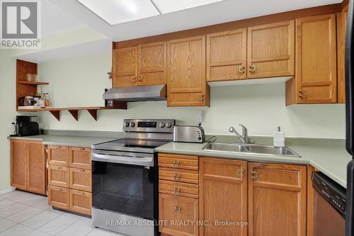 231 Harriot Private, Ottawa, ON - Indoor Photo Showing Kitchen With Double Sink