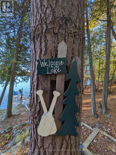 1063 Whiteside Road, Muskoka Lakes (Medora), ON - Outdoor With View