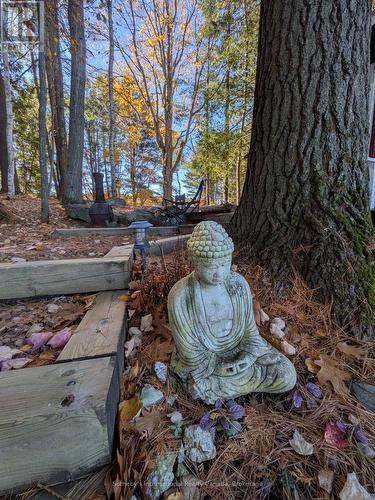 1063 Whiteside Road, Muskoka Lakes (Medora), ON - Outdoor With View