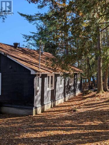 1063 Whiteside Road, Muskoka Lakes (Medora), ON - Outdoor