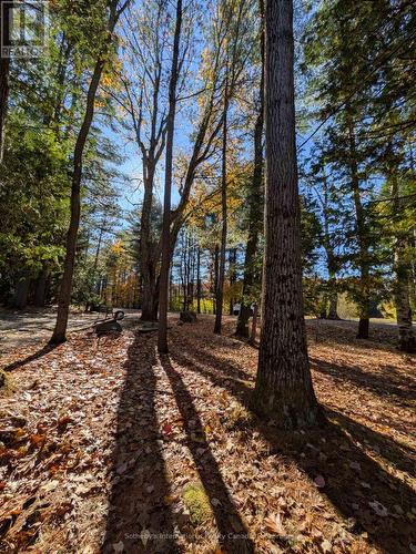 1063 Whiteside Road, Muskoka Lakes (Medora), ON - Outdoor With View