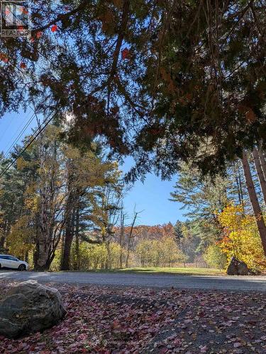 1063 Whiteside Road, Muskoka Lakes (Medora), ON - Outdoor With View