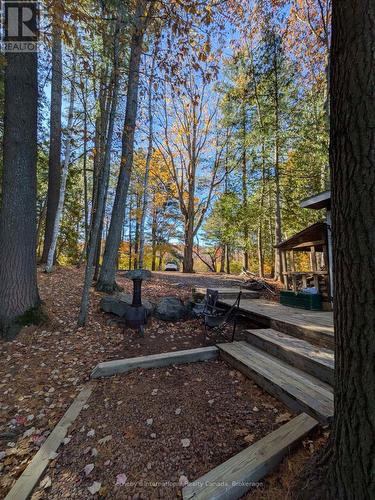 1063 Whiteside Road, Muskoka Lakes (Medora), ON - Outdoor