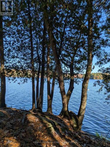 1063 Whiteside Road, Muskoka Lakes (Medora), ON - Outdoor With Body Of Water With View