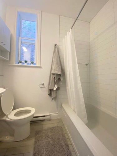 Salle de bains - 5309 Rue Marquette, Montréal (Le Plateau-Mont-Royal), QC - Indoor Photo Showing Bathroom