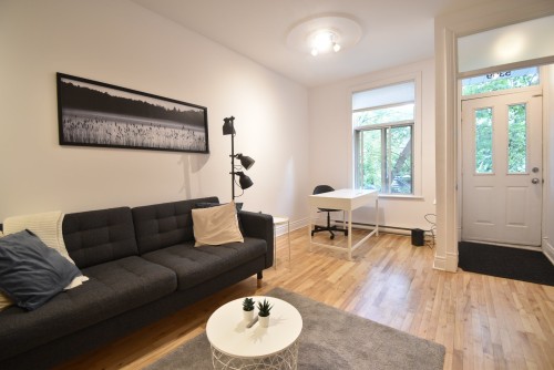 Salon - 5309 Rue Marquette, Montréal (Le Plateau-Mont-Royal), QC - Indoor Photo Showing Living Room