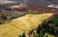 PtLt 20 Con 8 (9th Line) N/A  Amaranth, ON L9W 0H4