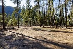 Lot B Trepanier Road  Peachland, BC V0H 1X3