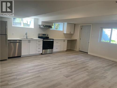 Unit C - 54 Park Street, Kitchener, ON - Indoor Photo Showing Kitchen With Double Sink