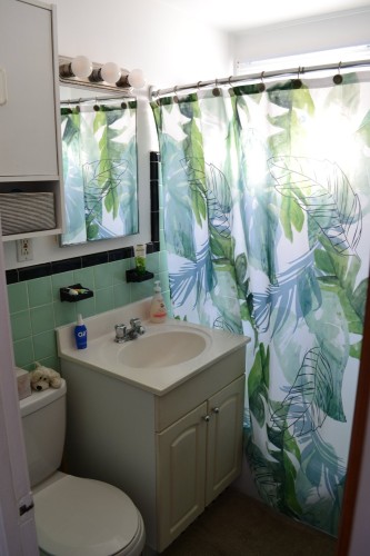 Salle de bains - 8392 Rue Centrale, Montréal (Lasalle), QC - Indoor Photo Showing Bathroom