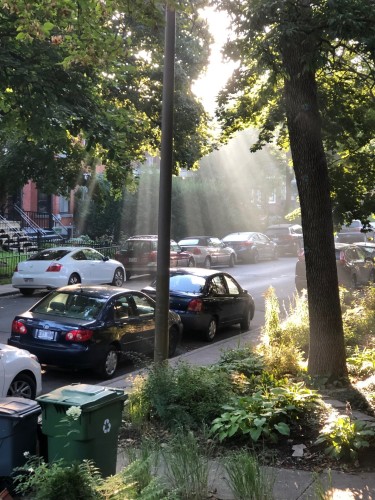 Street - 2302 Av. Regent, Montréal (Côte-Des-Neiges/Notre-Dame-De-Grâce), QC - Outdoor