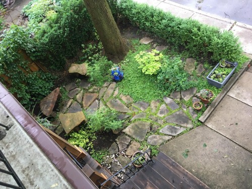 Exterior - 2302 Av. Regent, Montréal (Côte-Des-Neiges/Notre-Dame-De-Grâce), QC - Outdoor