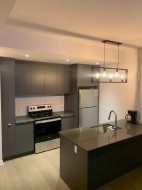 223-1485 Rue des Bassins Montréal (Le Sud-Ouest), QC H3C 1B7