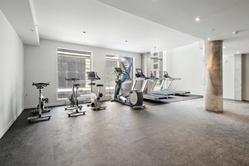 Salle d'exercice - 223-1485 Rue Des Bassins, Montréal (Le Sud-Ouest), QC - Indoor Photo Showing Gym Room