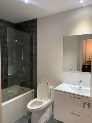 Salle de bains - 223-1485 Rue Des Bassins, Montréal (Le Sud-Ouest), QC - Indoor Photo Showing Bathroom