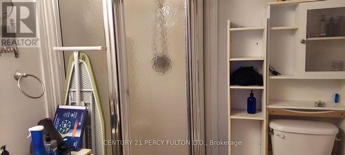 4051 Medland Drive, Burlington, ON - Indoor Photo Showing Bathroom