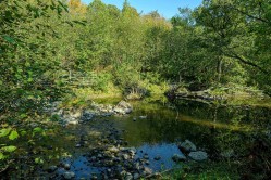 Bord de l'eau - 