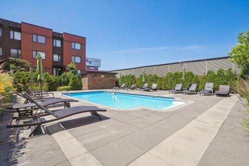 Piscine - 605-865 Av. Plymouth, Mont-Royal, QC - Outdoor With In Ground Pool