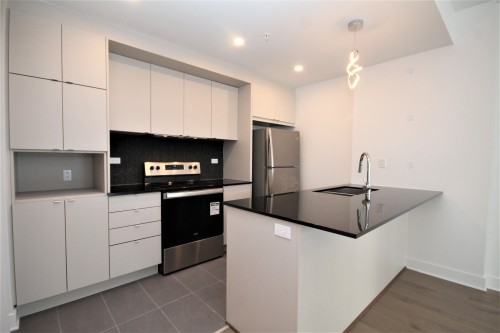 Cuisine - 504-5265 Rue Mackenzie, Montréal (Côte-Des-Neiges/Notre-Dame-De-Grâce), QC - Indoor Photo Showing Kitchen