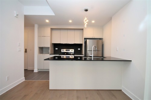 Cuisine - 504-5265 Rue Mackenzie, Montréal (Côte-Des-Neiges/Notre-Dame-De-Grâce), QC - Indoor Photo Showing Kitchen