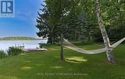 Sit back and relax in the hammock - 
