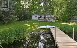 Lots of trees for privacy from neighbours - 