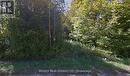 Lot 184 Champlain Road, Tiny, ON 