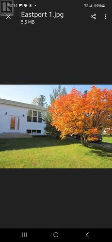 44 Sandy Cove Road, Sandy Cove, NL - Other