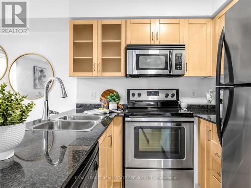 515 - 46 East Liberty Street, Toronto, ON - Indoor Photo Showing Kitchen With Stainless Steel Kitchen With Double Sink With Upgraded Kitchen