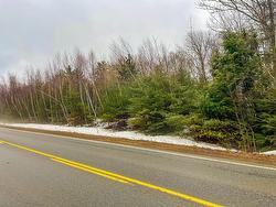 Lot (PID 60201043) Highway 10  West Northfield, NS B4V 5C1