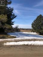 8 FULSOM CRESCENT  Kawartha Lakes (Carden), ON L3V 0H5