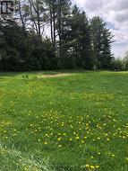 8 FULSOM CRESCENT Kawartha Lakes (Carden), ON L3V 0H5