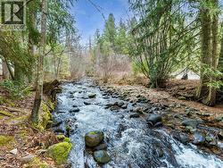 Approximately  250 feet of creek frontage. - 