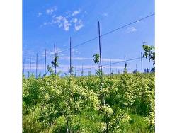 LOT 13 ORCHARD Drive Murray River, PE C0A 1W0