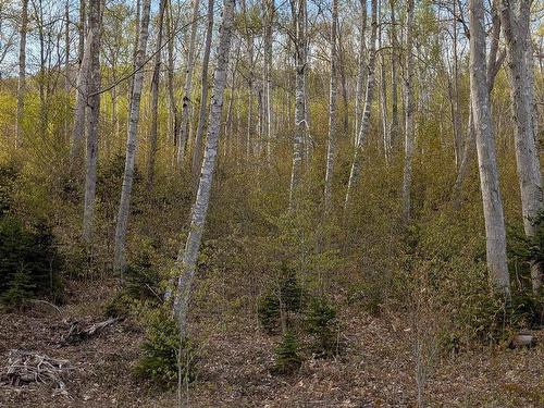 Marble Mountain Road, Lime Hill, NS 