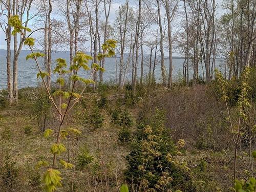 Marble Mountain Road, Lime Hill, NS 
