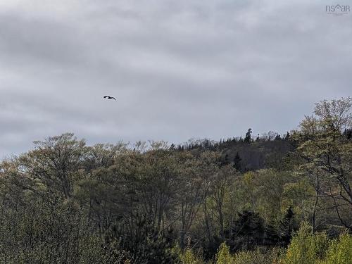 Marble Mountain Road, Lime Hill, NS 