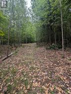 00 KAMANISKEG LAKE ROAD Hastings Highlands (Bangor Ward), ON K0J 1L0